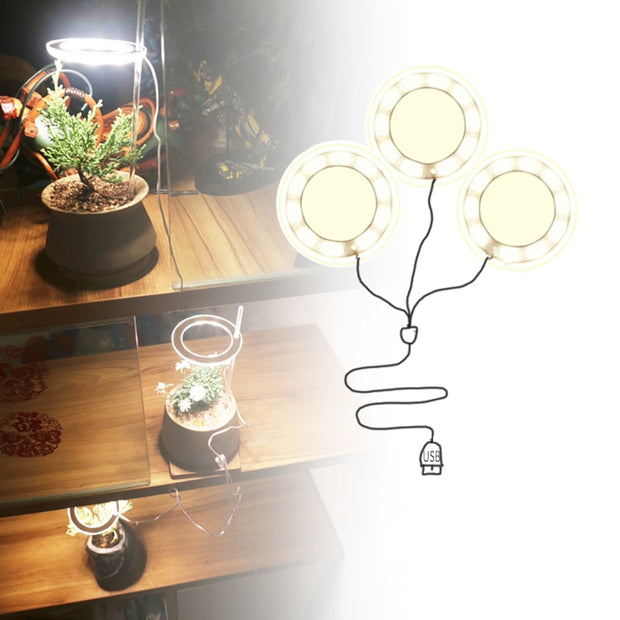 Angel Three Ring Grow Light Lamp For Plants
