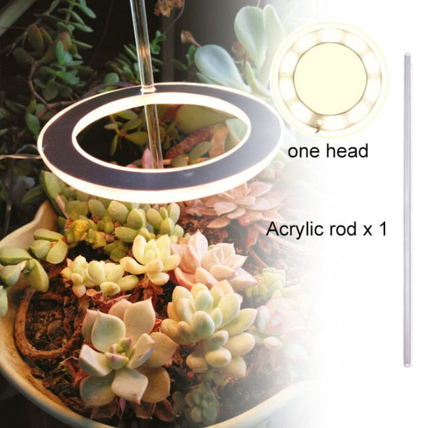 Angel Three Ring Grow Light Lamp For Plants