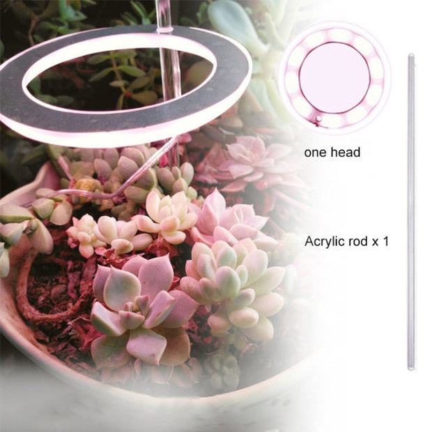 Angel Three Ring Grow Light Lamp For Plants