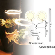 Angel Three Ring Grow Light Lamp For Plants