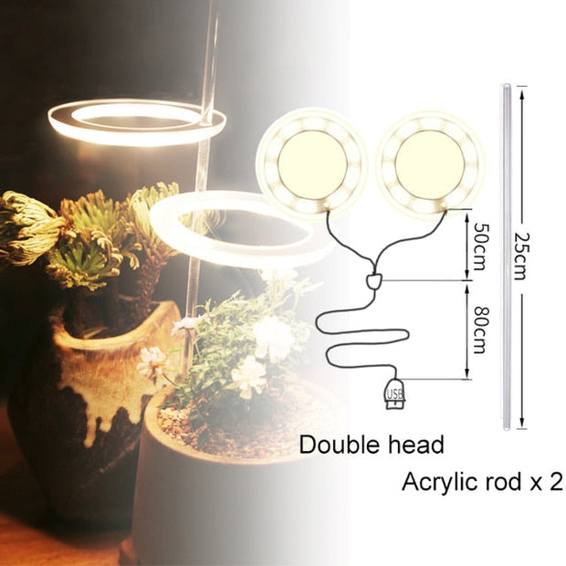 Angel Three Ring Grow Light Lamp For Plants