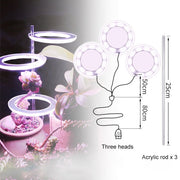 Angel Three Ring Grow Light Lamp For Plants