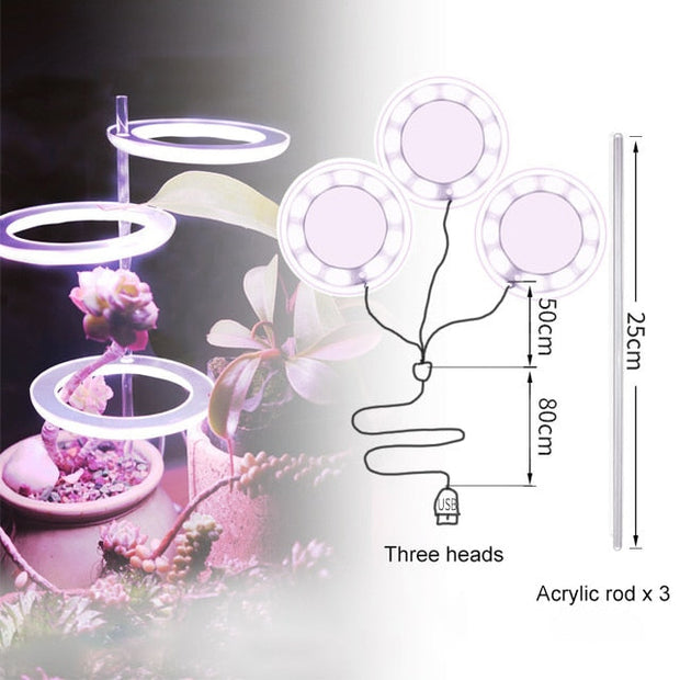 Angel Three Ring Grow Light Lamp For Plants