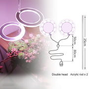 Angel Three Ring Grow Light Lamp For Plants