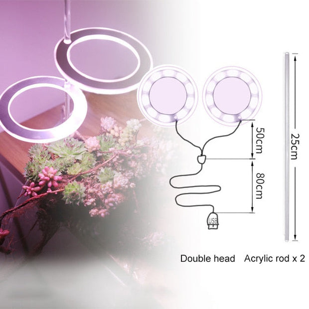 Angel Three Ring Grow Light Lamp For Plants
