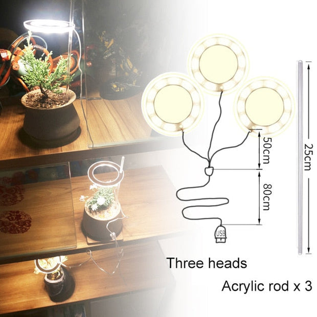 Angel Three Ring Grow Light Lamp For Plants