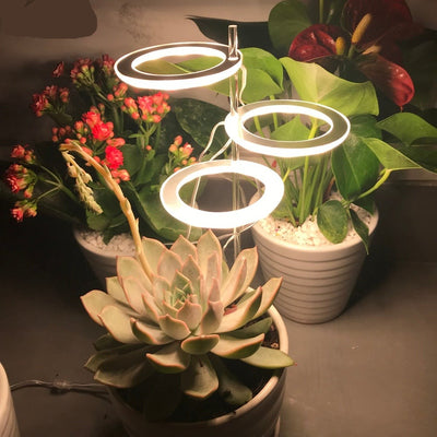 Angel Three Ring Grow Light Lamp For Plants