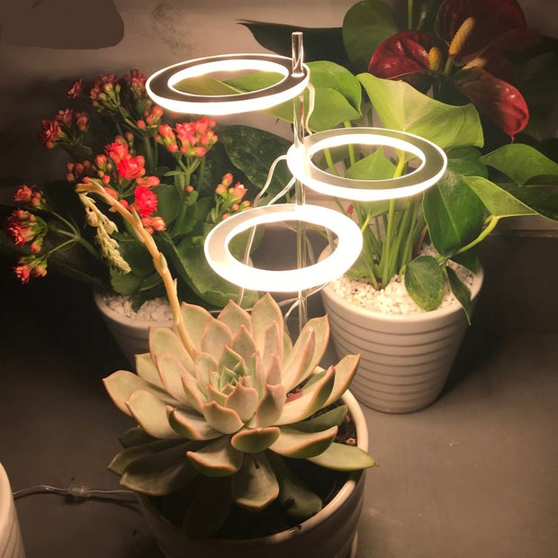 Angel Three Ring Grow Light Lamp For Plants